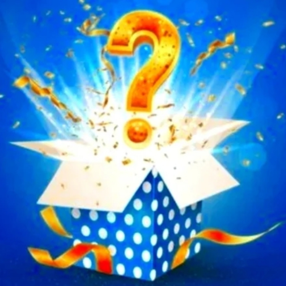 Mystery box purses, belts, accessories, or jewelry 2-5 items from my closet!